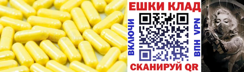 Ecstasy XTC  Купить закладки  Алзамай 