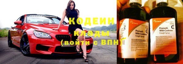 сатива Волоколамск
