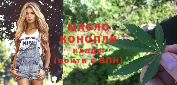 сатива Волоколамск