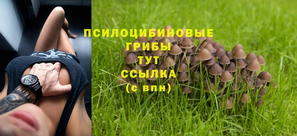 сатива Волоколамск