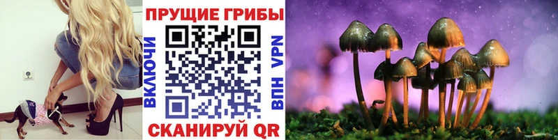 Купить  Алзамай  Псилоцибиновые грибы Magic Shrooms 