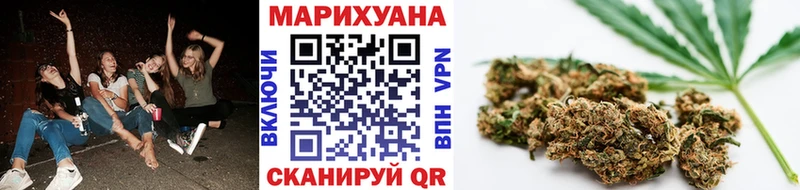 Купить где  Алзамай  Бошки марихуана SATIVA & INDICA 
